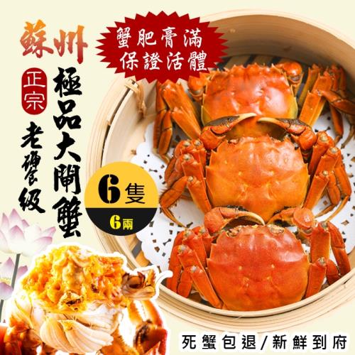 鮮物殿堂-正宗蘇州老饕級鮮活極品大閘蟹6兩x6隻