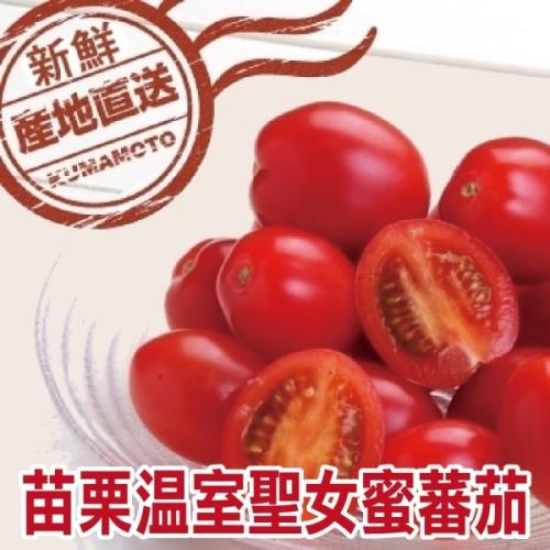 果物樂園-苗栗溫室聖女蜜蕃茄(2盒/每盒約600g±10%)