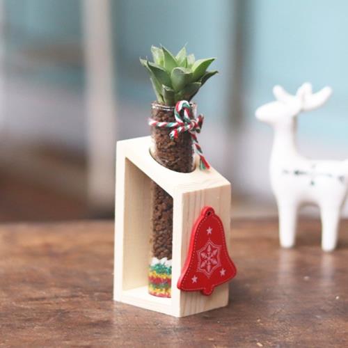 Light+Bio 耶誕木架植栽-多肉植物