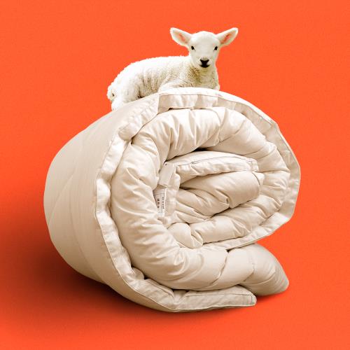 《田中保暖試驗所》3.5kg 100%法國純小羊毛被 國際羊毛認證 表布純棉織密防竄毛 雙人6x7尺 厚實保暖 台灣製