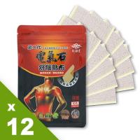 【炫煬堂】添加珍貴一條根第二代電氣石舒緩貼布(10片/包) 12入