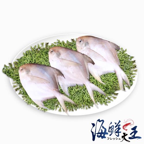 海鮮大王 巴掌小白鯧*10隻組(150g±10%/隻/無去腮去肚)