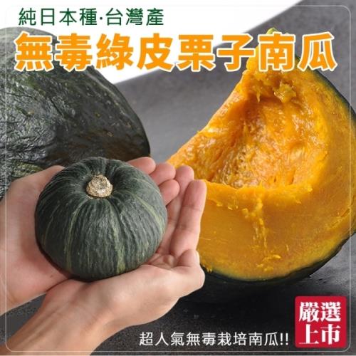 果物樂園-日本品種綠皮栗子南瓜(3顆/每顆約400g±10%)