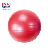成功SUCCESS 安全防爆韻律球55CM S3805