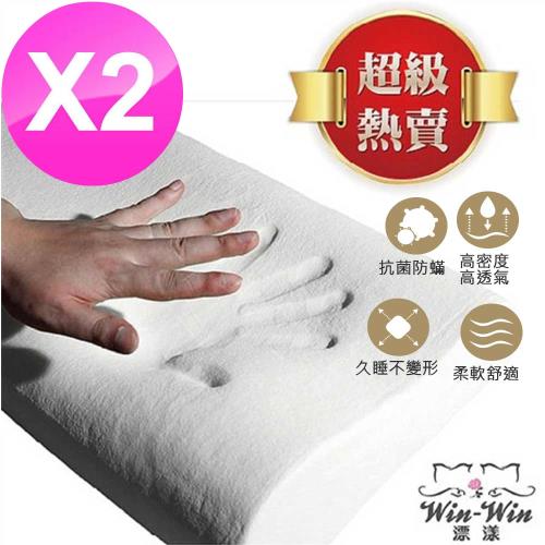 Win-Win漂漾 溫健康記憶舒眠枕(2入)