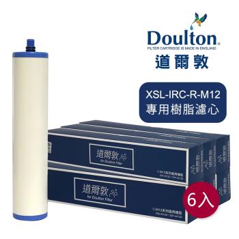 DOULTON英國道爾敦 XSL-IRC-R-M12 櫥下濾水器專用樹脂濾芯 -                    六入組▲新螺牙專用