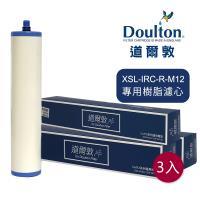 DOULTON英國道爾敦 XSL-IRC-R-M12 櫥下濾水器專用樹脂濾芯 - 三入組▲新螺牙專用