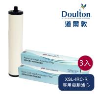 DOULTON英國道爾敦 XSL-IRC-R 美國陶氏DOW樹脂濾芯 - 三入組▲舊螺牙專用