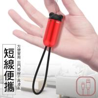可愛掛飾充電傳輸線 適用所有蘋果手機及平板 iPhone XS XR iPad