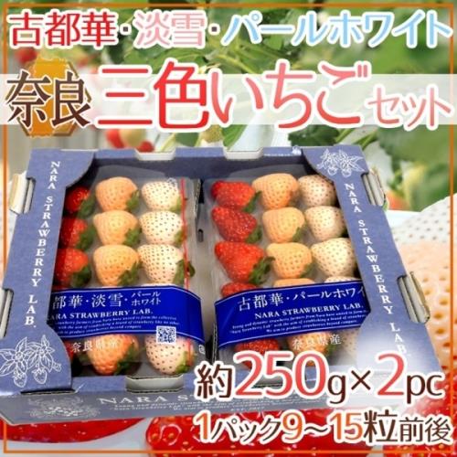 果物樂園-日本奈良縣三色草莓2P(約18~30顆入/約500g±10%)