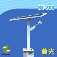 DIGISINE 太陽能智能路燈 - 12V系統/2000流明/黃光 ST-300