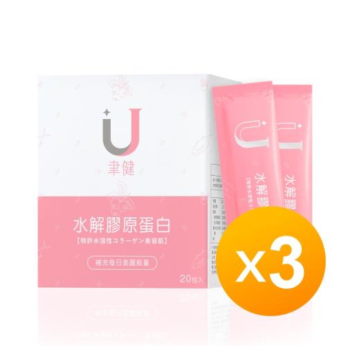 聿健 水解膠原蛋白粉 (20包x3盒)