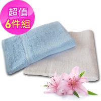 法式寢飾花季 優雅生活-純棉厚織舒柔毛巾被935g/條x6件組(白色)