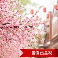 春季旅展-北海道五稜郭櫻花海旭山動物園纜車溫泉5日(含稅)旅遊