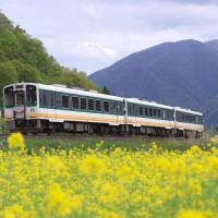 夏艷奧入瀨溪海鮮市場貓站長天皇溫泉四日旅遊-暑
