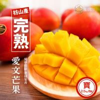 【枋山盧家芒果】輸日寶島級-愛文芒果2.5KG/8粒裝(預計4/26開始出貨)