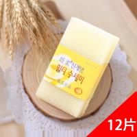QHL酷奇-韓國神奇魔術樹脂菜瓜布-12片