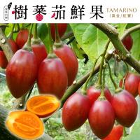 春霖山園 樹番茄鮮果-有機轉型期(1斤±10%/盒) x20盒