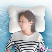 《Embrace英柏絲》可水洗 SEK大和 防蹣 抗菌止鼾枕 人體工學 MIT台灣製造