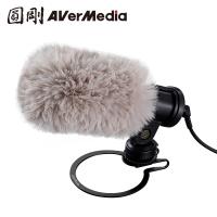 AVerMedia 圓剛 外接式收音麥克風 AM133