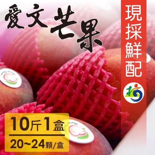 MANGO HOUSE 枋山愛文芒果10斤/盒(20~24顆/盒) 輸日等級 擁有生產追溯碼