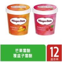 【哈根達斯-冷凍宅配】盛夏水果雪酪迷你杯12入組(芒果雪酪*6+覆盆子雪酪*6)