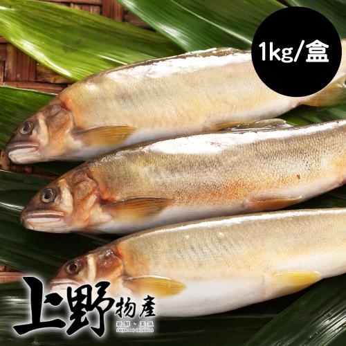 【上野物產】台灣爆卵母香魚 (1kg/盒，約8~10隻) x2盒
