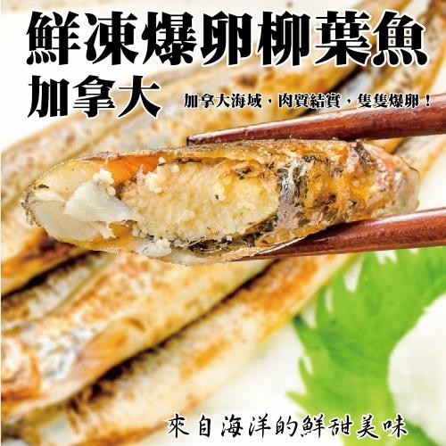 海肉管家-加拿大鮮凍爆卵柳葉魚1包(每包9-13尾/約200g±10%)