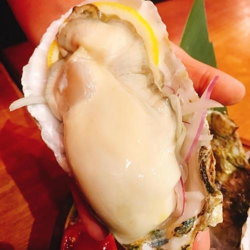 台北【一氣水產 Ikki Hamayaki】日本空運現流頂級生蠔12顆兌換券