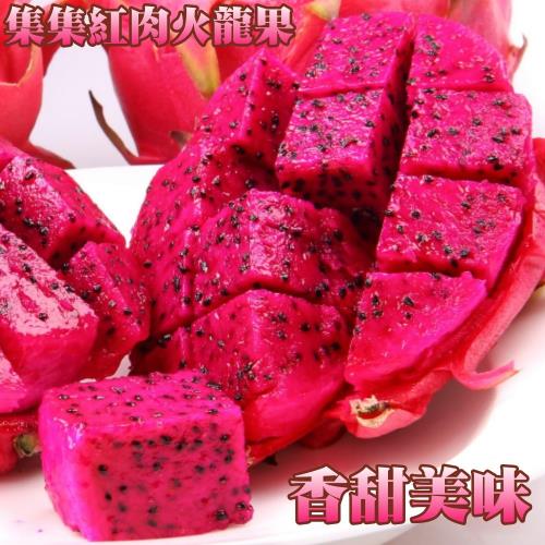 坤田水果 集集紅肉火龍果(1箱)單箱10-15顆10斤
