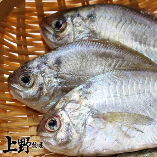 【上野物產】越南野生肉魚 (75g土10%/隻) x50隻