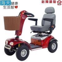【海夫健康生活館】必翔 電動代步車 P型把手(TE-889SL)