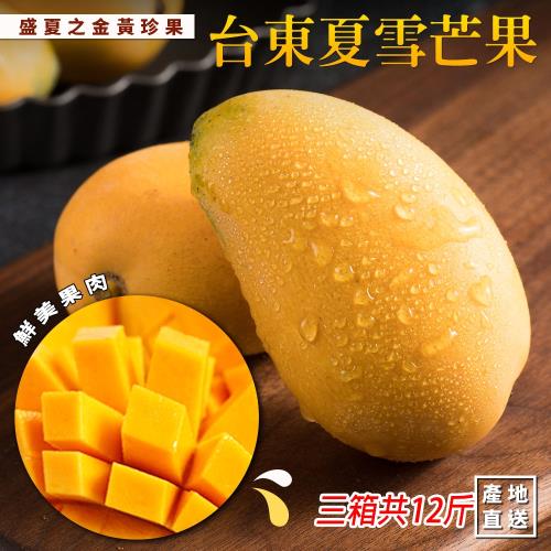 盛夏之金黃珍果-台東夏雪芒果(4斤&plusmn;10%/盒) x3盒