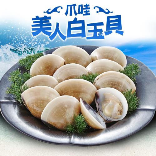 好食讚 印尼熟凍白玉貝16包(500g±10%/包)