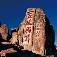 冬季早鳥-山東泰山臨沂曲阜台兒莊全覽觀天鵝8日(無購物站無自費)旅遊