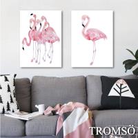 TROMSO-時尚無框畫_40x55cm兩幅一組 盛夏紅鶴