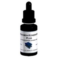 DMS德妍思 微脂囊杜鵑花酸精華液20ML