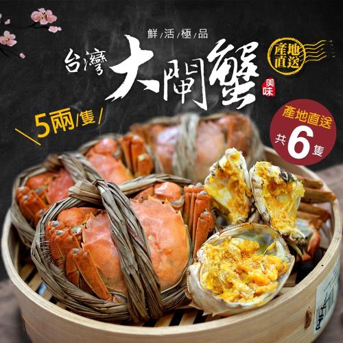 築地一番鮮-產地直送-台灣大閘蟹5兩6隻(187g/隻)