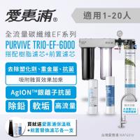 愛惠浦 壓力錶吊架型三道式淨水器 EVERPURE PURVIVE-TRIO EF6000(贈保溫瓶+濾芯)
