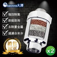 OZAWA 大澤 家用淨化活水沐浴過濾器淨水器 2入 (除氯.過濾自來水.硬水變軟水.高效淨水.浴室蓮蓬頭.衛浴設備)