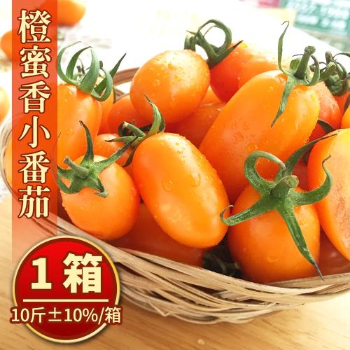 美濃宋媽媽超人氣橙蜜香小番茄(10斤+-10%/箱)共1箱