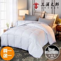 三浦太郎 100%天然優質水鳥羽毛被2.5KG