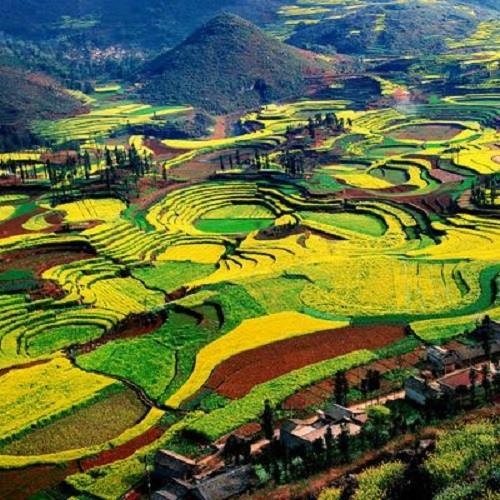 昆明.東川紅土地.羅平.彌勒.元陽梯田8天 (無購物.無自費)旅遊