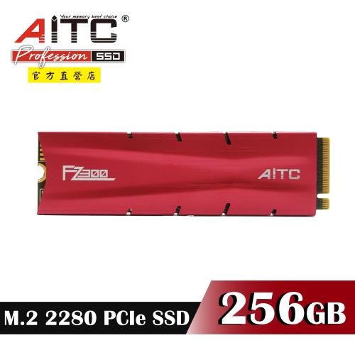 【AITC】FZ300 SSD 256GB M.2 2280 PCIe NVMe 固態硬碟+散熱片