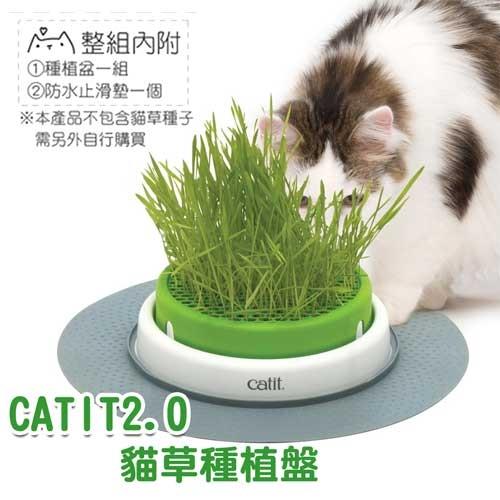 CATIT2.0貓草種植盤