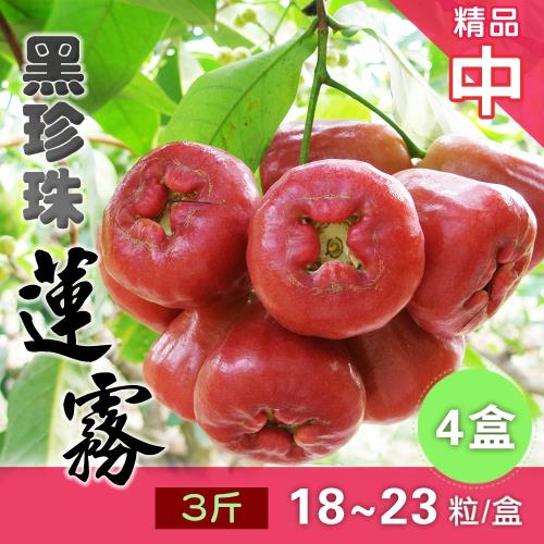 家購網嚴選-屏東枋寮黑珍珠蓮霧3斤裝X4盒(約18-23粒/盒) 精品中