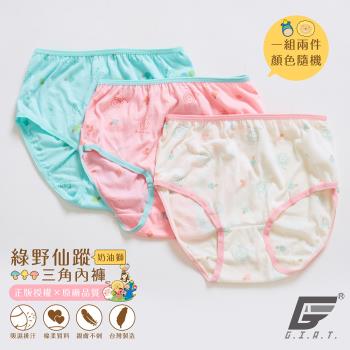 2件組【GIAT】台灣製滿版奶油獅女童三角內褲(顏色隨機)
