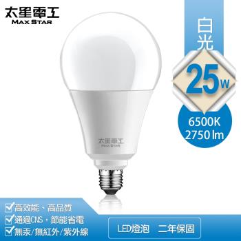 太星電工 25W超節能LED燈泡(白光) A825W