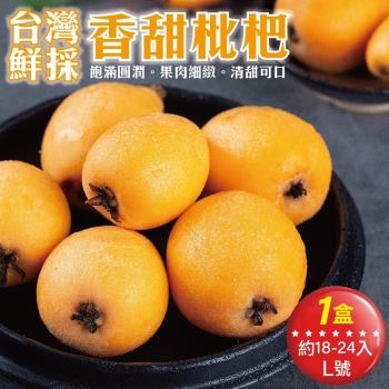 台灣枇杷在購物網的價格推薦 21年3月 比價比個夠biggo