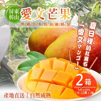 好揪 屏東枋山愛文芒果(5斤±10%/盒)x2盒